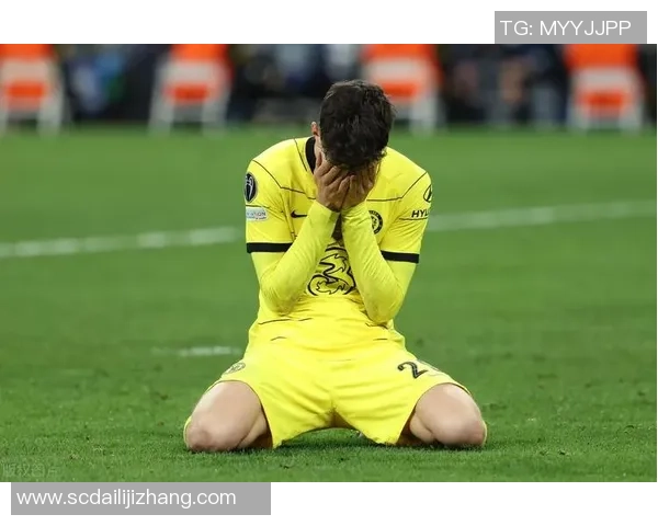 陨落的绿茵巨星透视死亡足球明星背后的传奇与悲歌